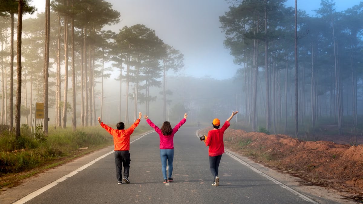 Three people walk arm-in-arm on a foggy forest road, creating a serene and joyful mood.